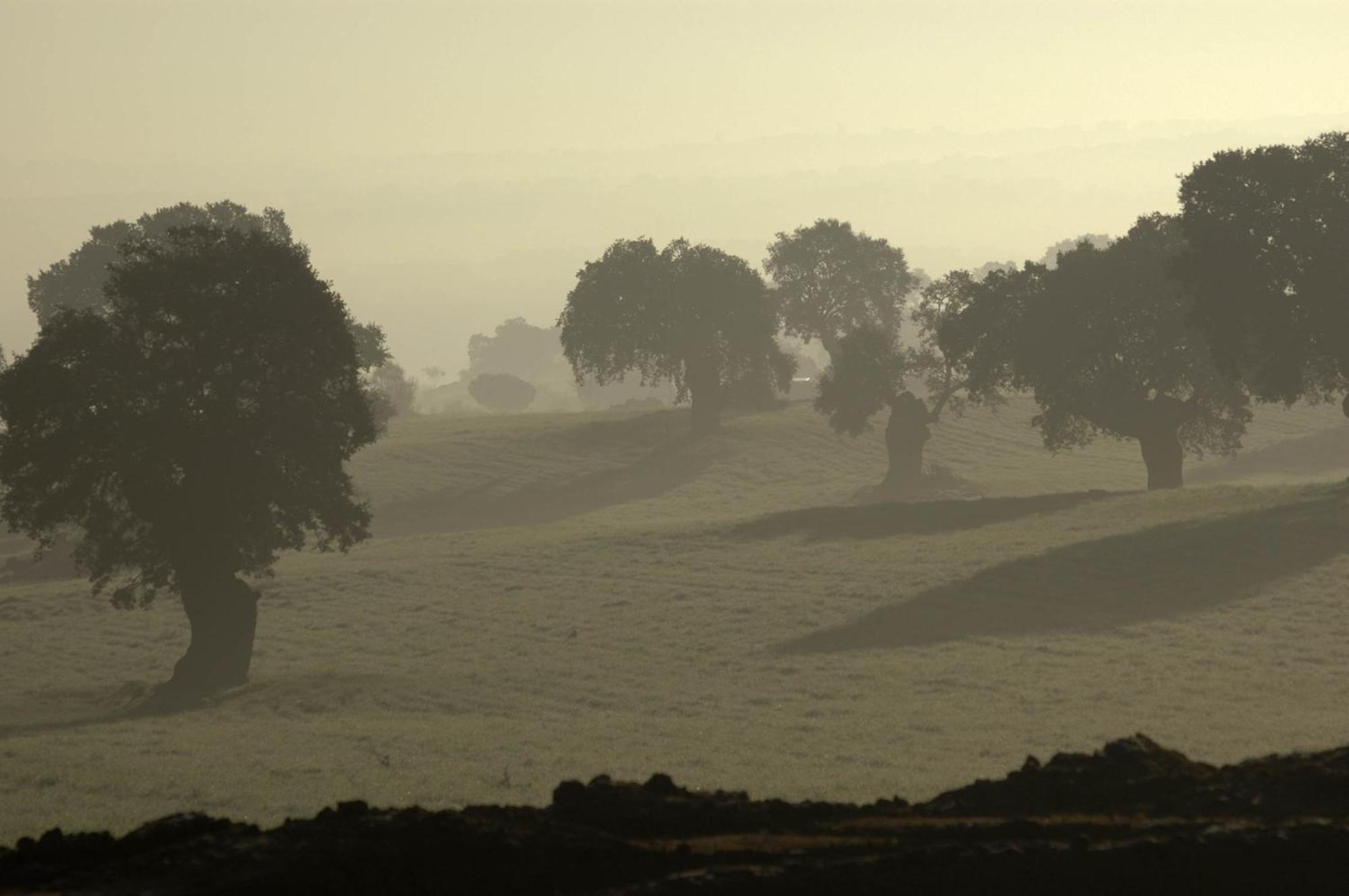 Casa Rural Cortijo Del Zoco Bajo Pozoblanco Exteriér fotografie
