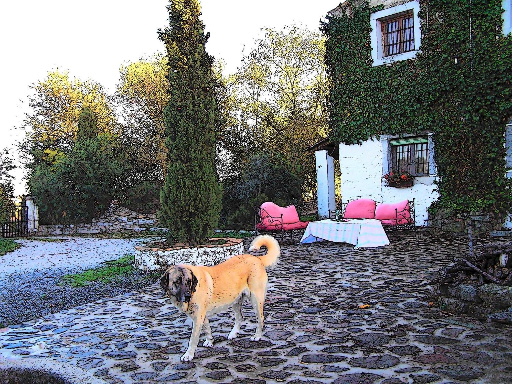 Casa Rural Cortijo Del Zoco Bajo Pozoblanco Exteriér fotografie